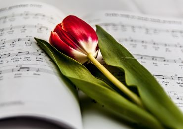 Reasons Why You Should Rgister With an Online Music Streaming Site