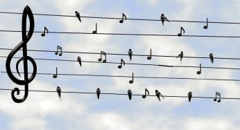 Music marketing strategies that always work