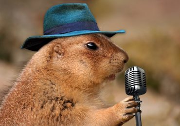 Music artists should avoid any fraudulent streaming – Beatrising Distribution