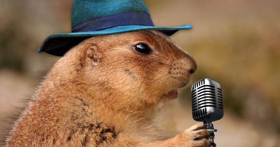 Music artists should avoid any fraudulent streaming – Beatrising Distribution