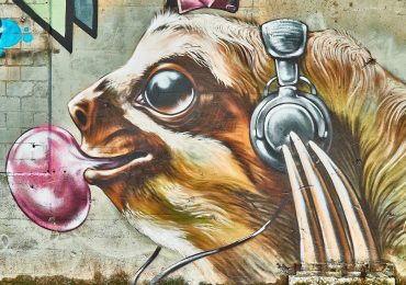 Protect the standard of your Spotify account - Beatrising Distribution