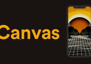 Spotify Canvas for all artist - Beatrising Distribution